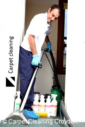 Steam Carpet Cleaning Company Croydon 3136